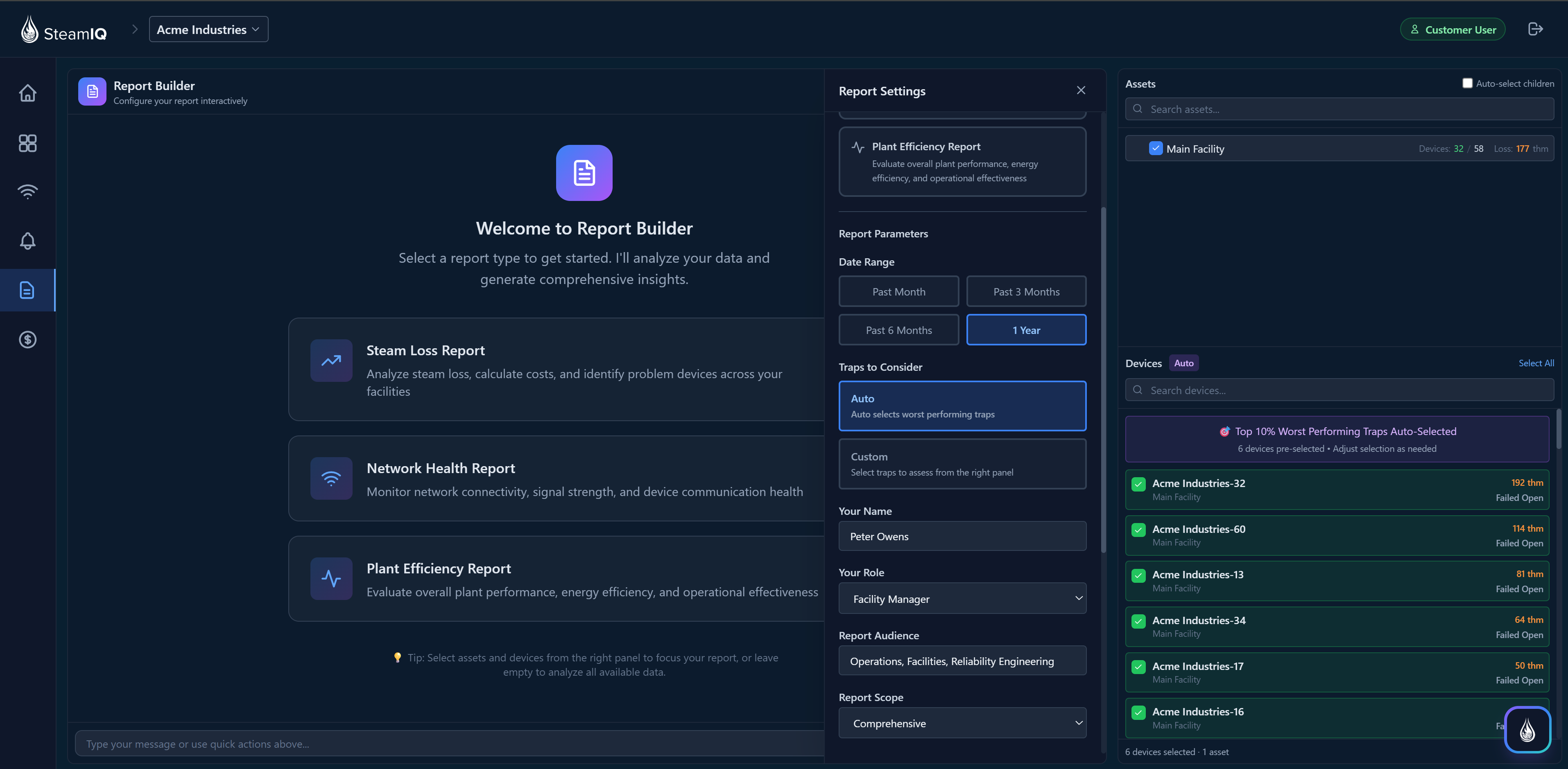 Report Writer Interface